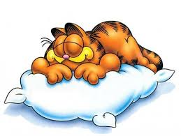 Garfield slaapt - amanda's update