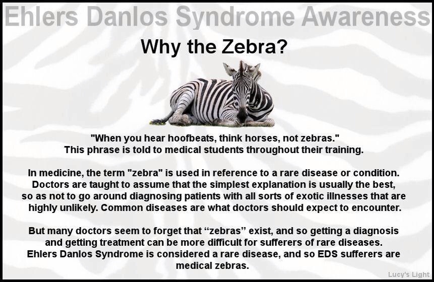 Amanda's Update - Why the Zebra